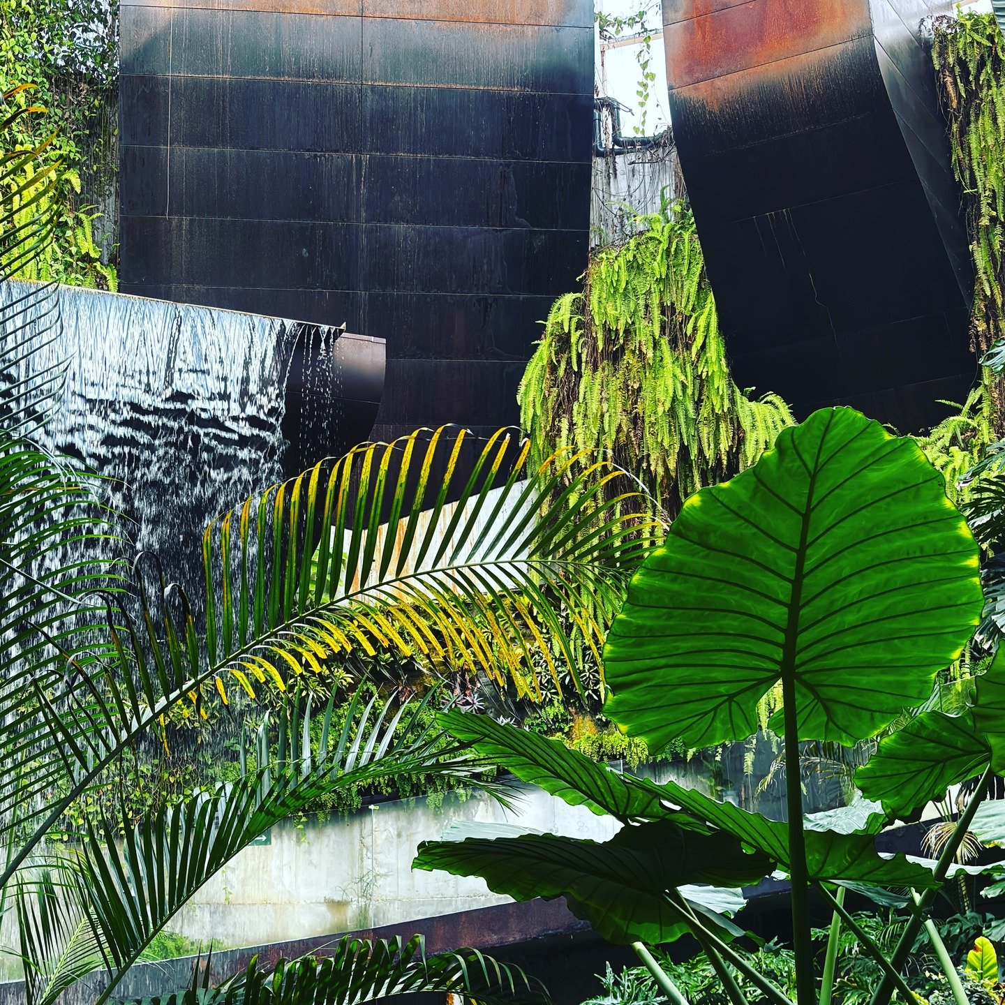 Enyoing the water in this Orchid House in Estepona - a welcome change to the rain outside!