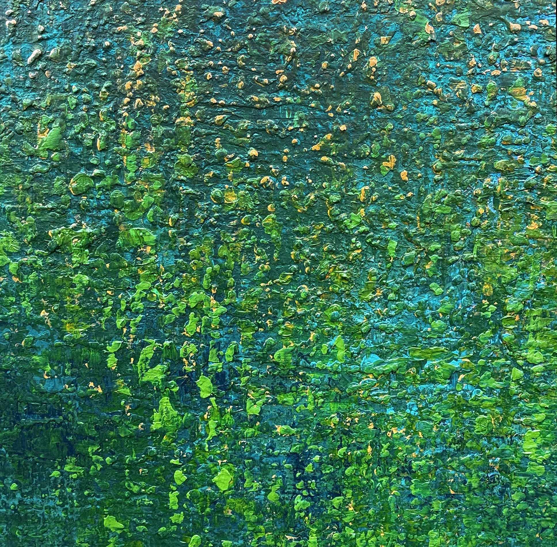 touched by serenity I close up web.jpg