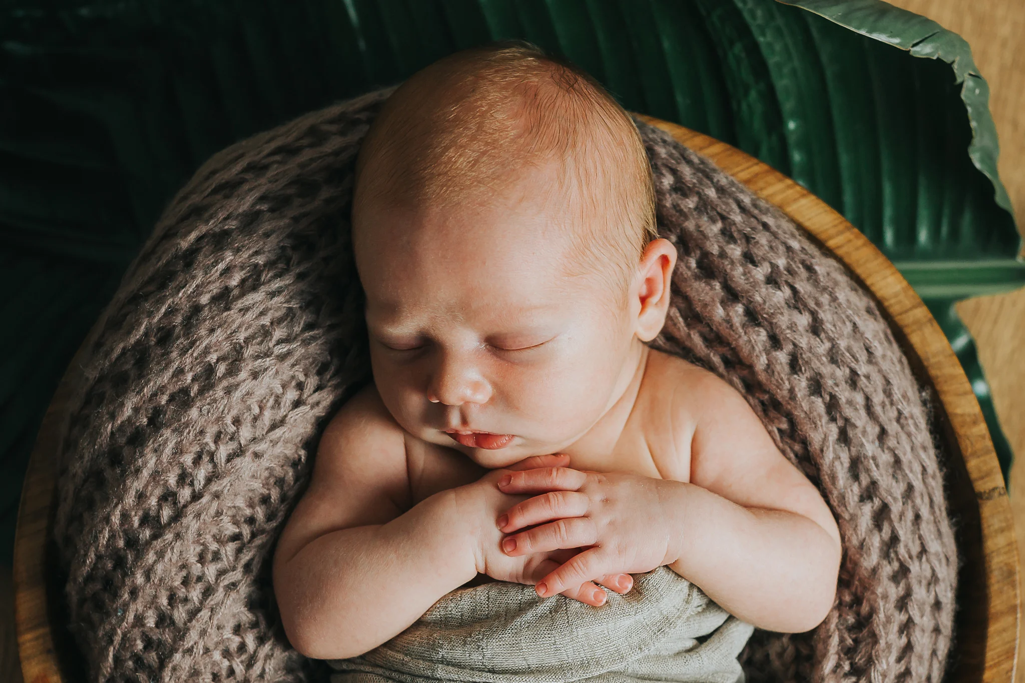 Carter-6.jpg