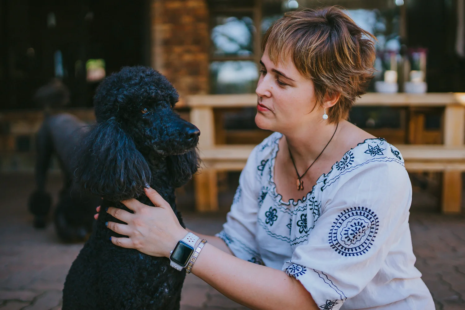 Poodles-42.jpg