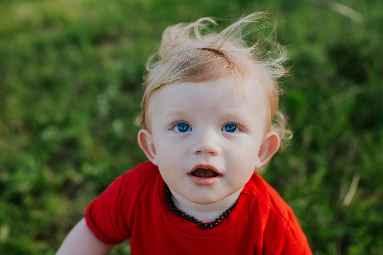 Barrett Family 2017-11.jpg