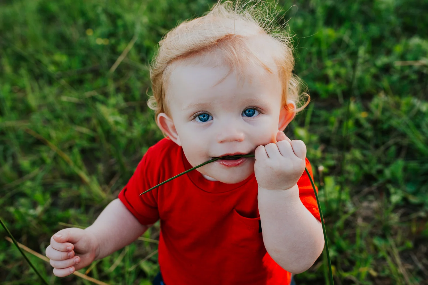 Barrett Family 2017-29.jpg