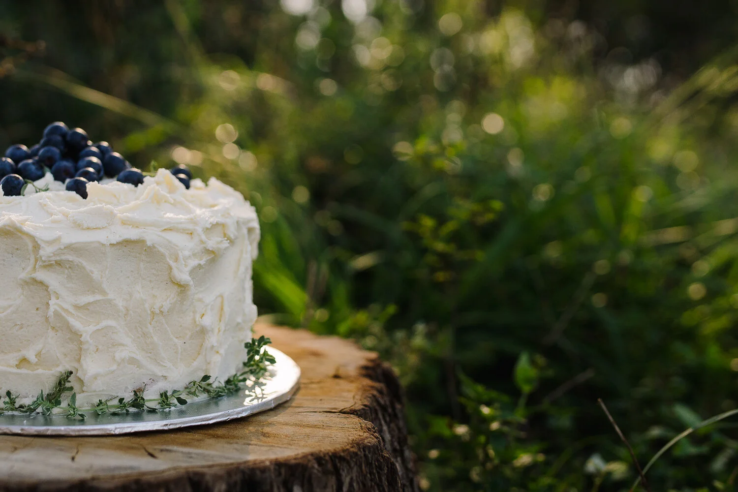 Cake Smash-3.jpg