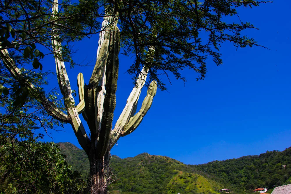 taganga.jpg