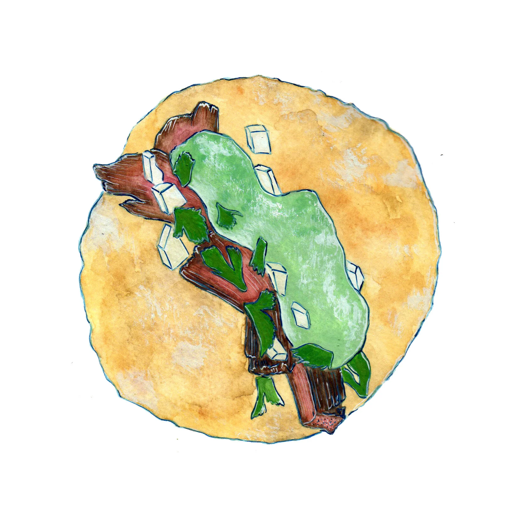 carne asada taco.jpg