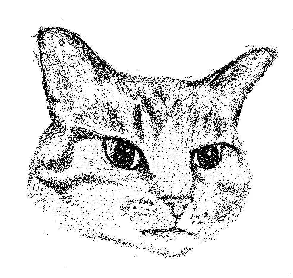 Esme altered altered.jpg