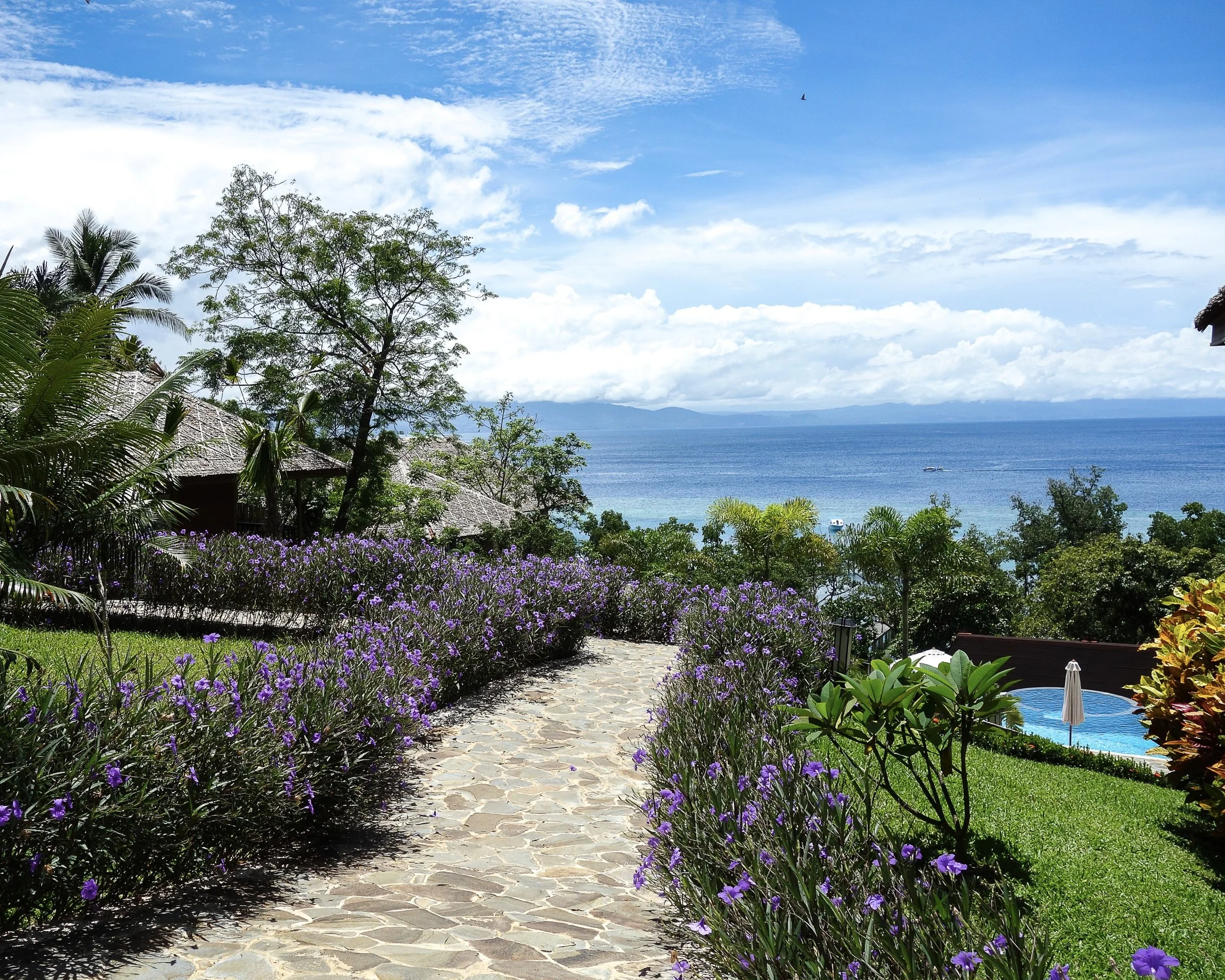 lavendar beds.jpg