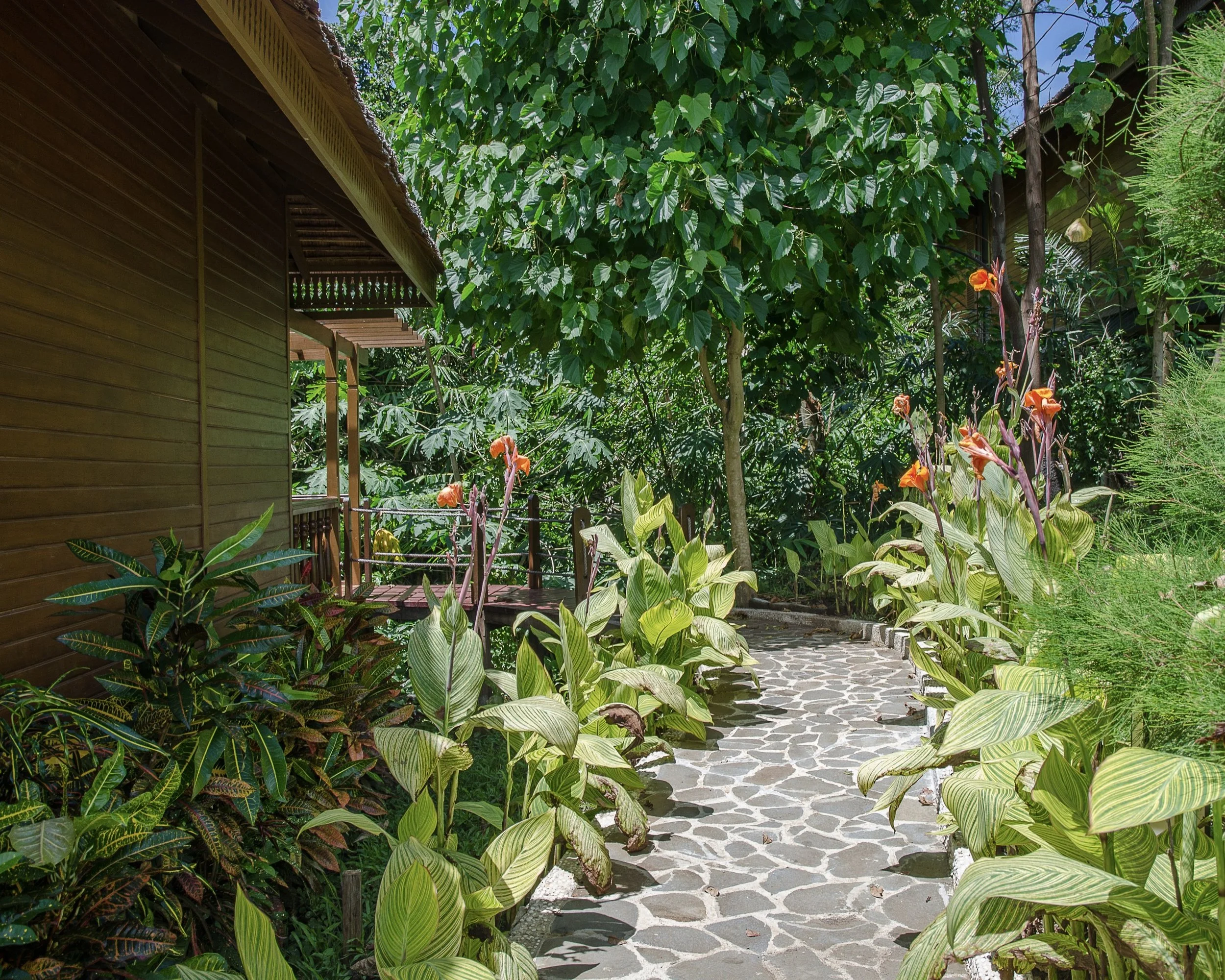 path to cottage 3.jpg