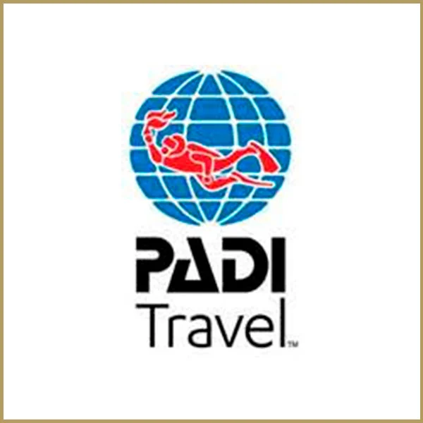 padi.jpg