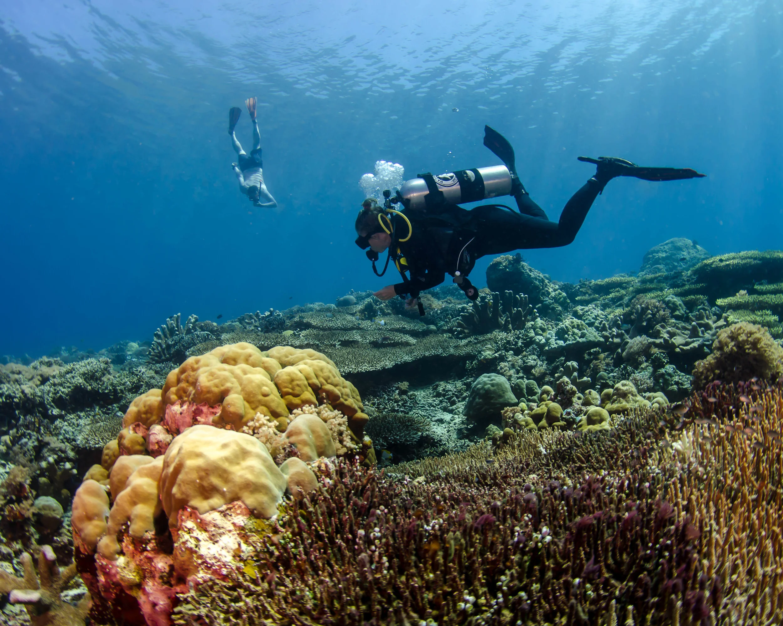 c diver with free diver.jpg
