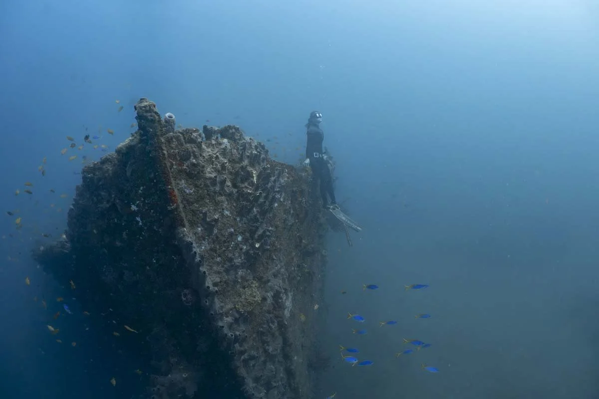Bunaken Oasis - wreck -8.jpg