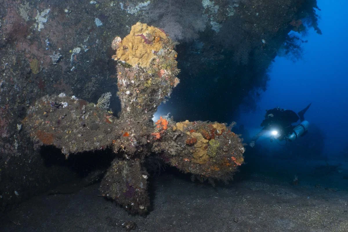 Bunaken Oasis - wreck -12.jpg