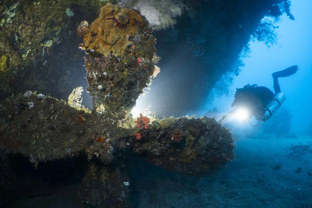 Bunaken Oasis - wreck -14.jpg