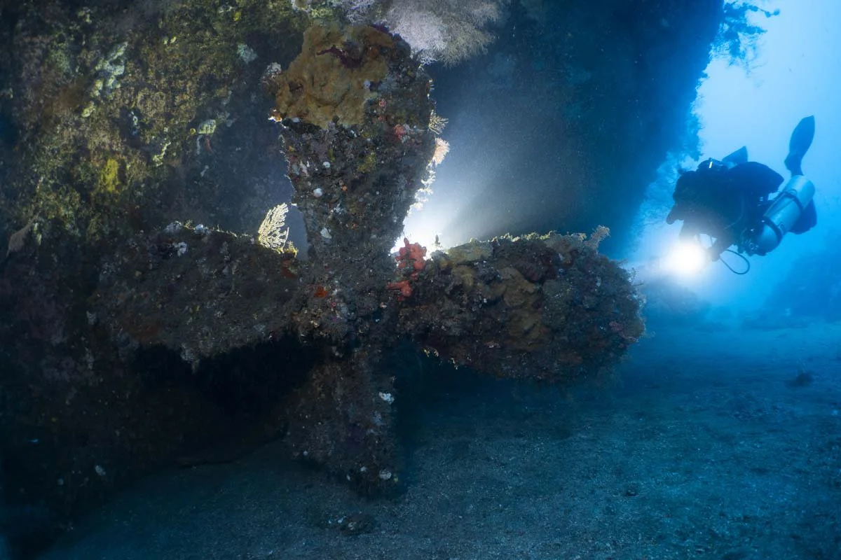 Bunaken Oasis - wreck -15.jpg