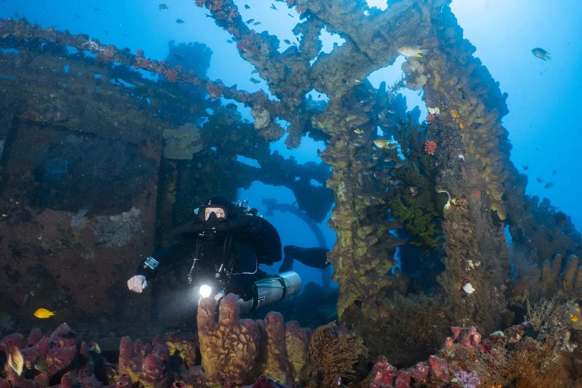 Bunaken Oasis - wreck -16.jpg