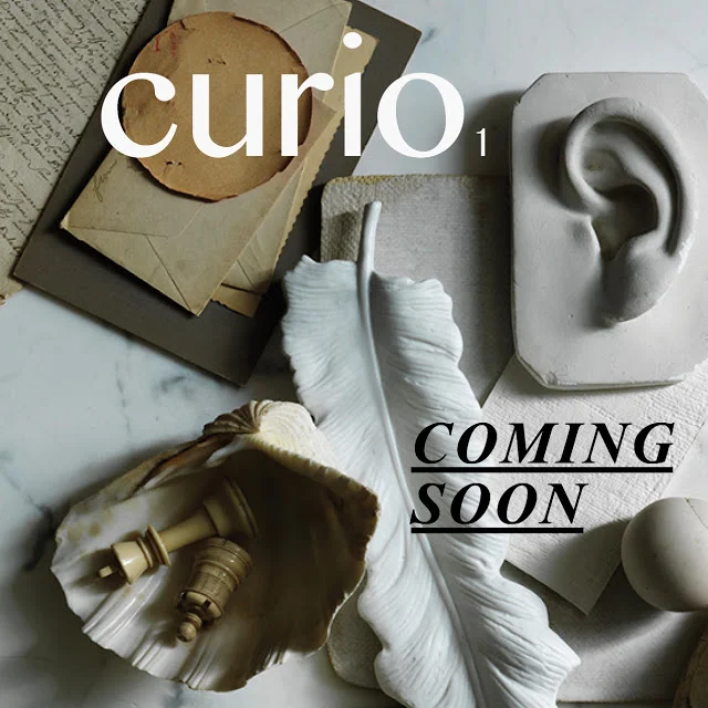 Curio / Coming Soon!