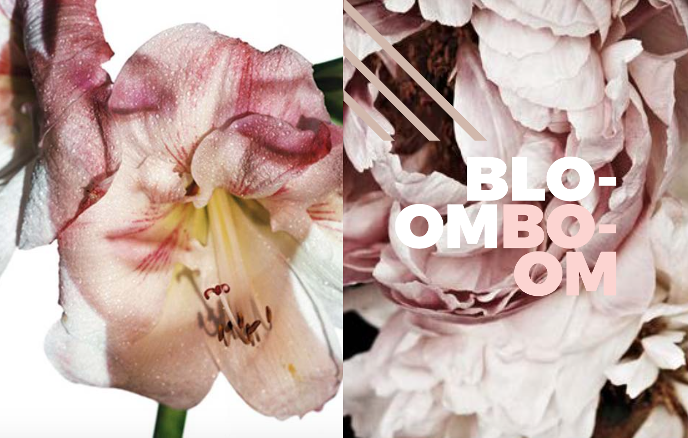 Left: Photo by the wonderful iconic Photographer Melvin Sokolsky , Right: Peonie, Unknown 