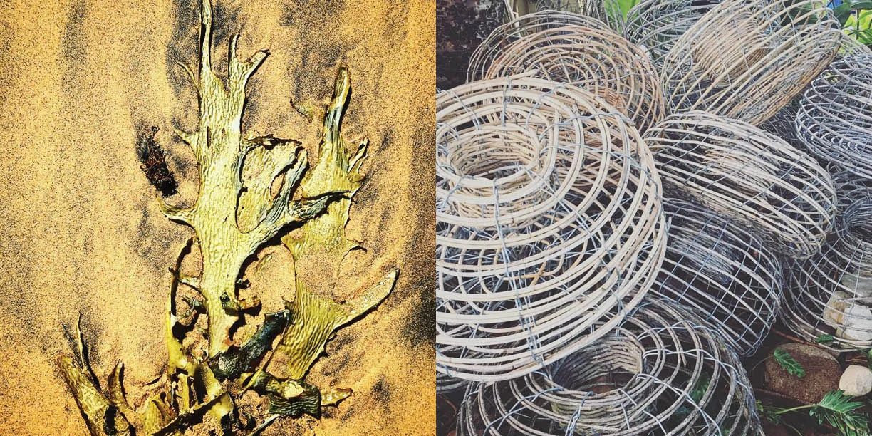 On the beaches, Seaweed and fishing baskets, Photography: Marcus Hay for SMH, Inc