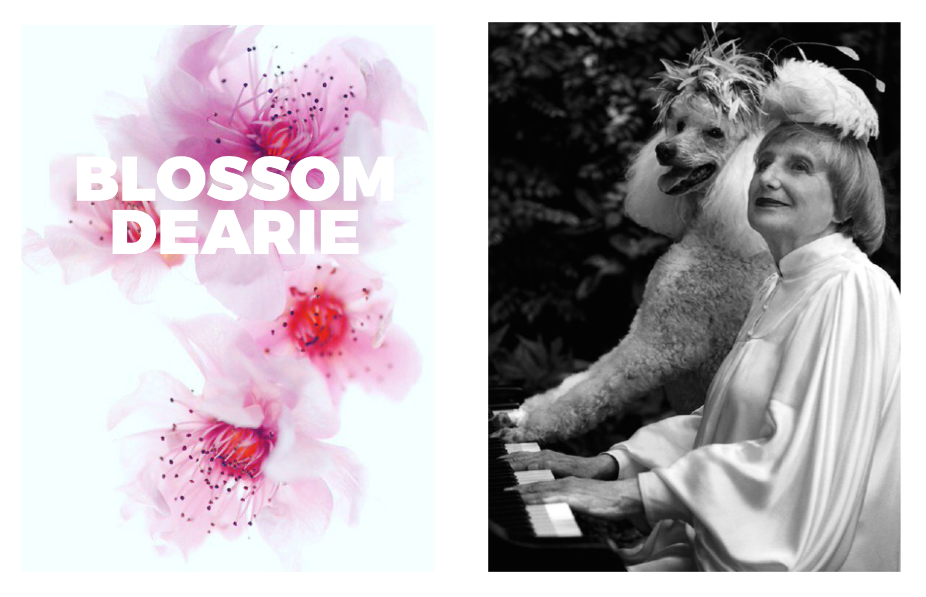 Left: Image from Flora Photographer, Warwick Orme, Floranova , beautiful images you can purchase prints of. Right: The amazing later portrait by Bruce Weber of Blossom. 