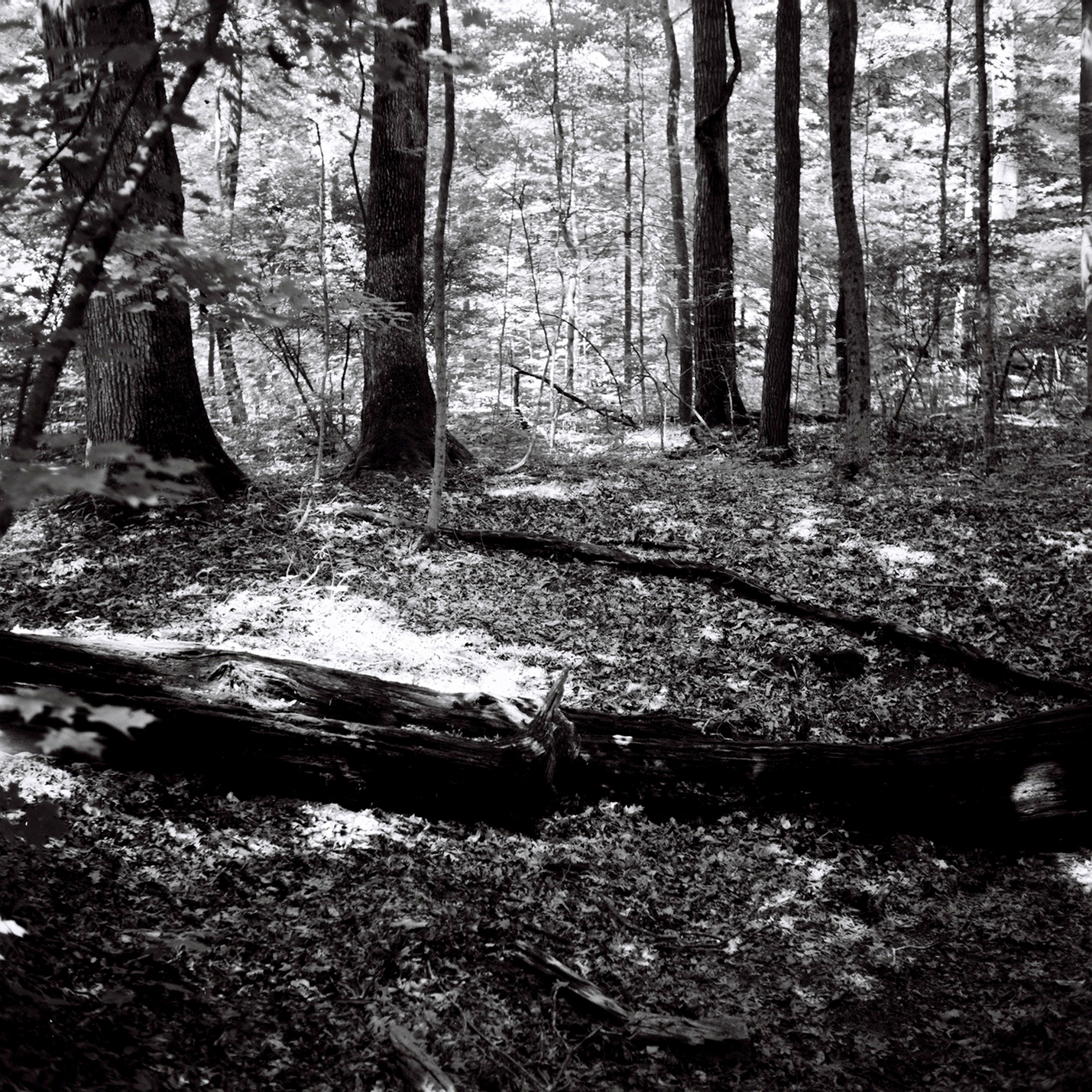 Flint Ridge State Park 3