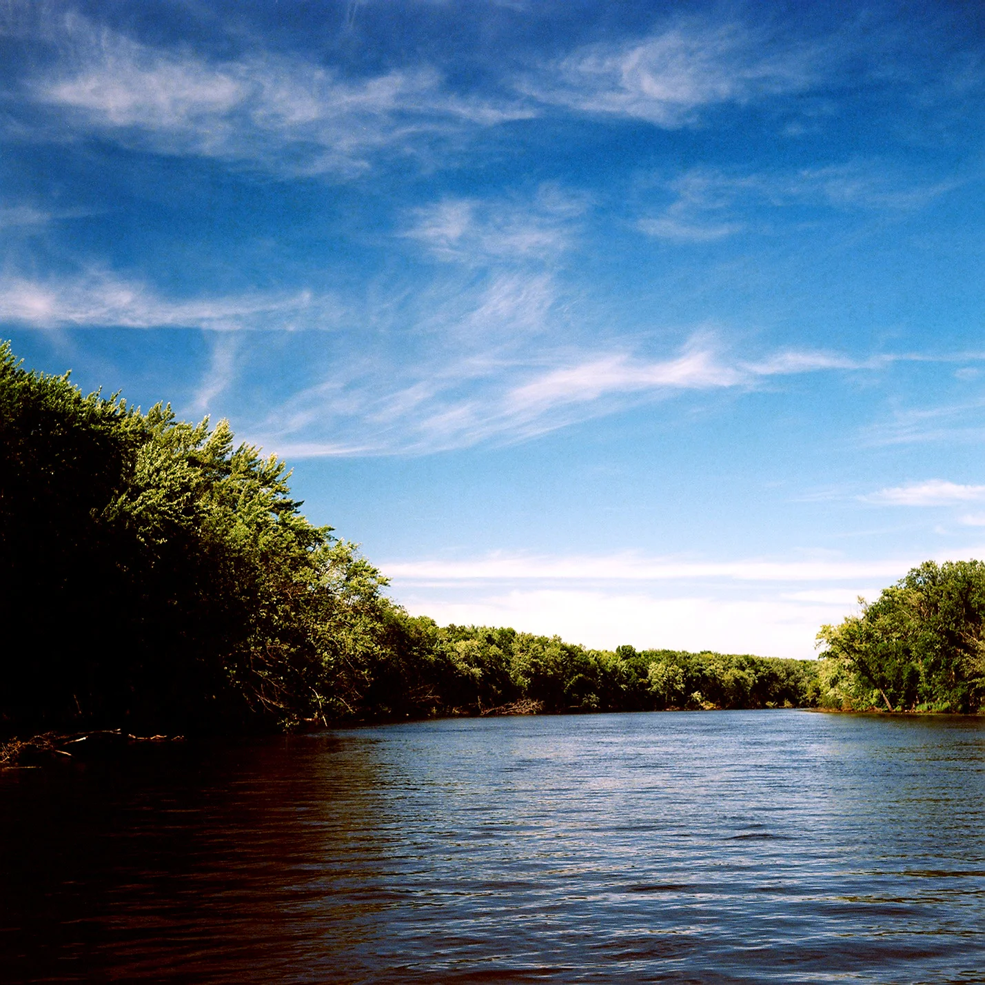 On the river