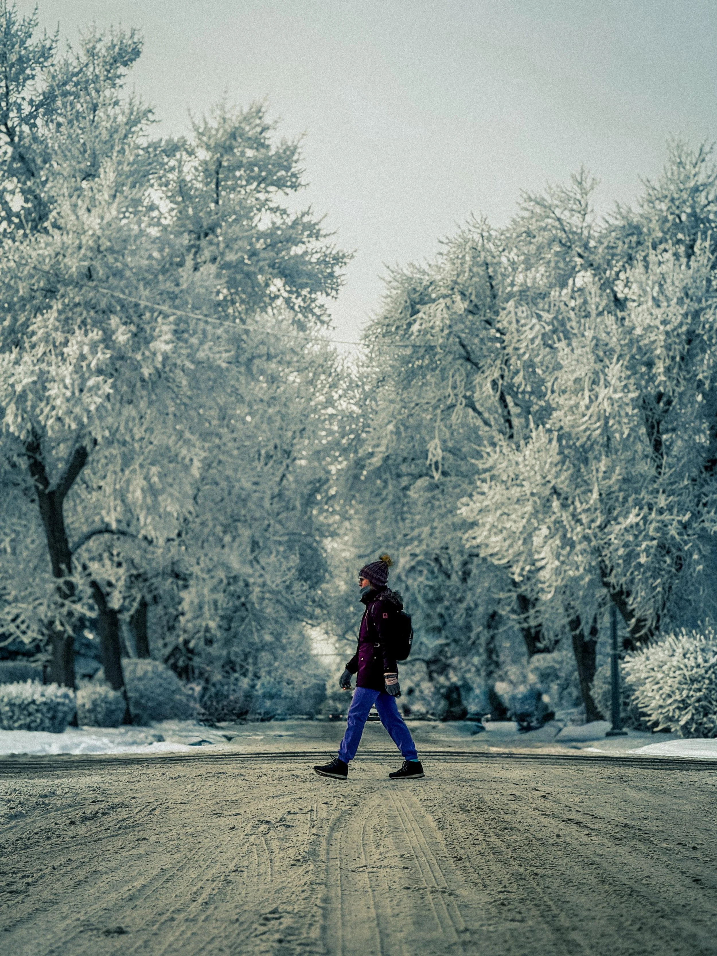 Julia Winter Walk.jpg