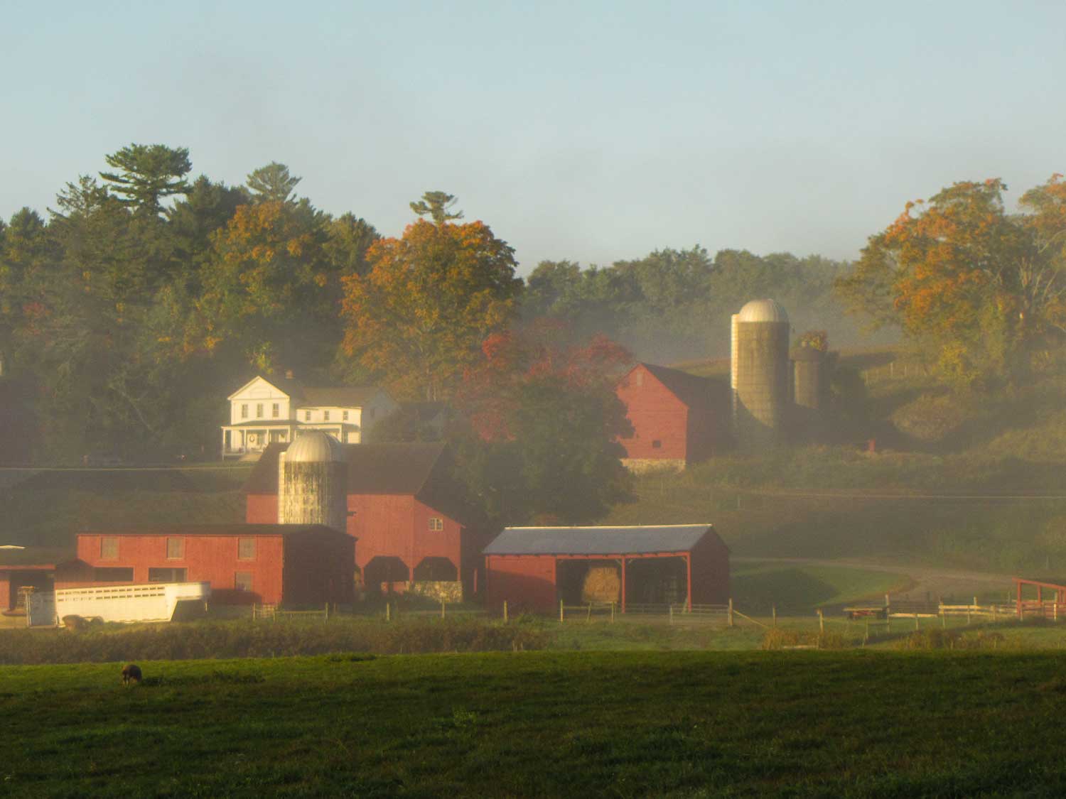 Fall-barn-scene-IMG_8072.jpg