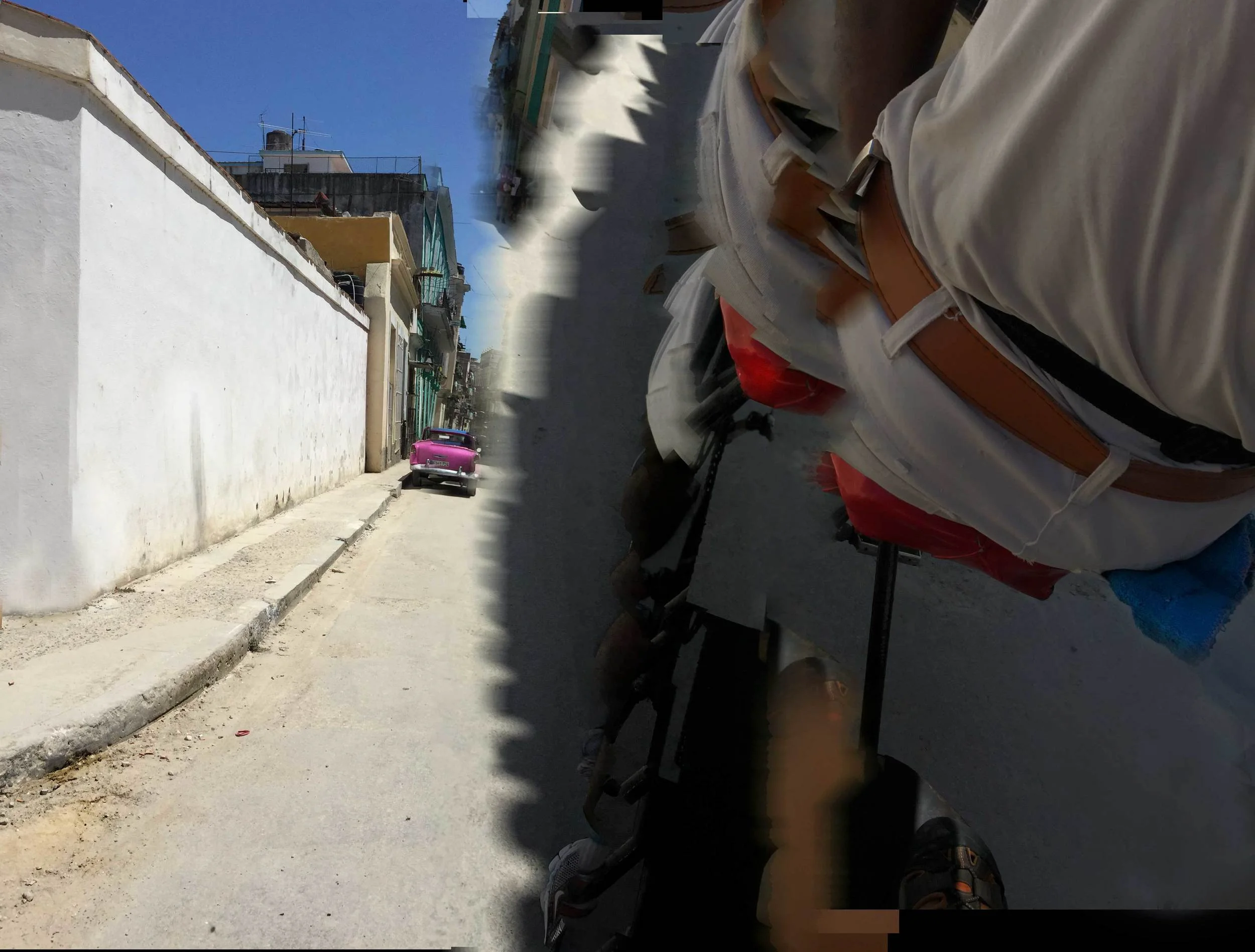 In-motion.jpg