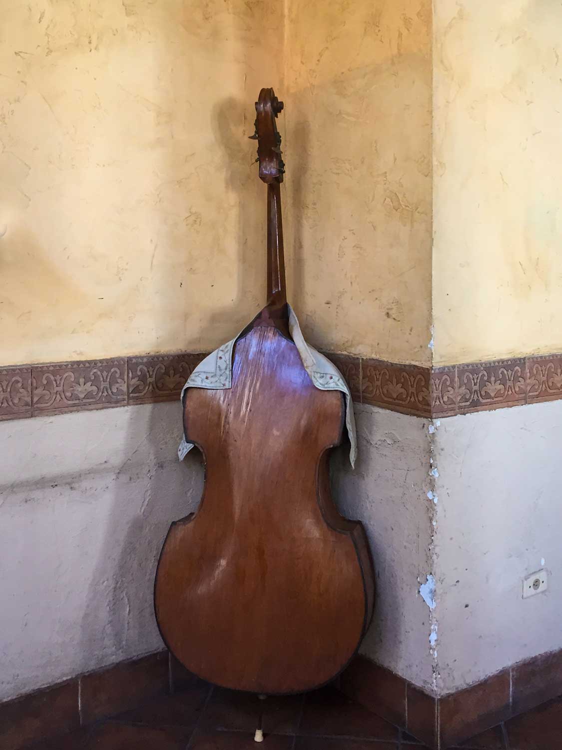 Cello-cropped-IMG_2958.jpg