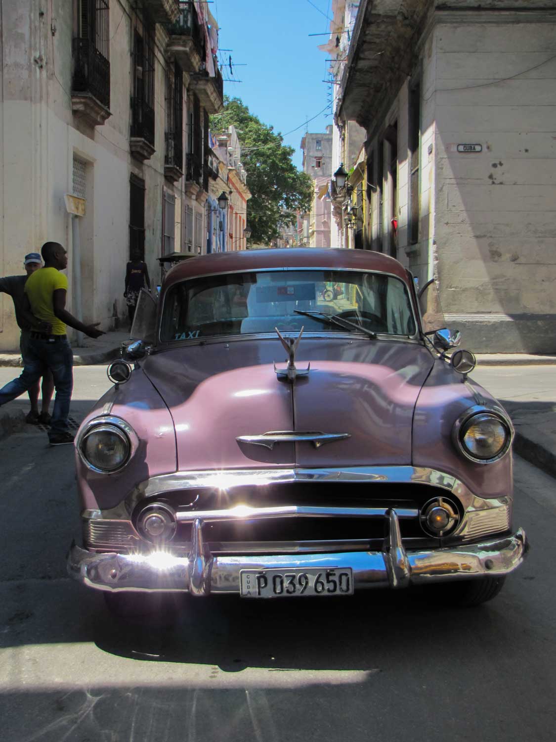 Mauve-car.jpg