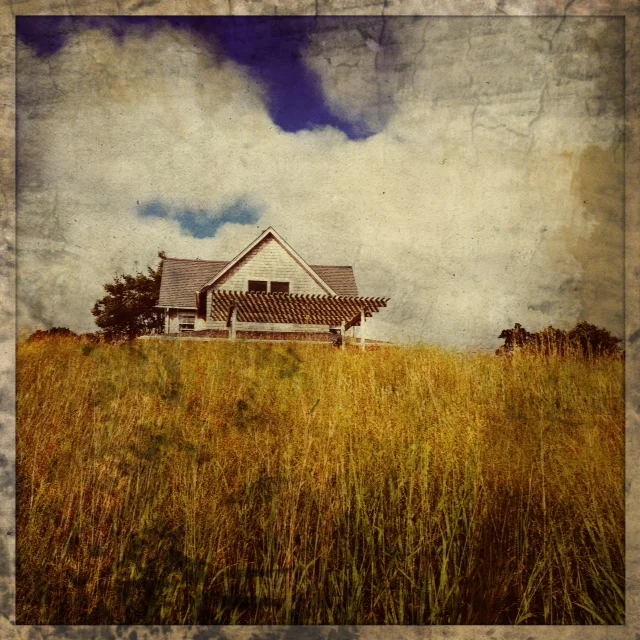 Scratchy texture IMG_2955.JPG