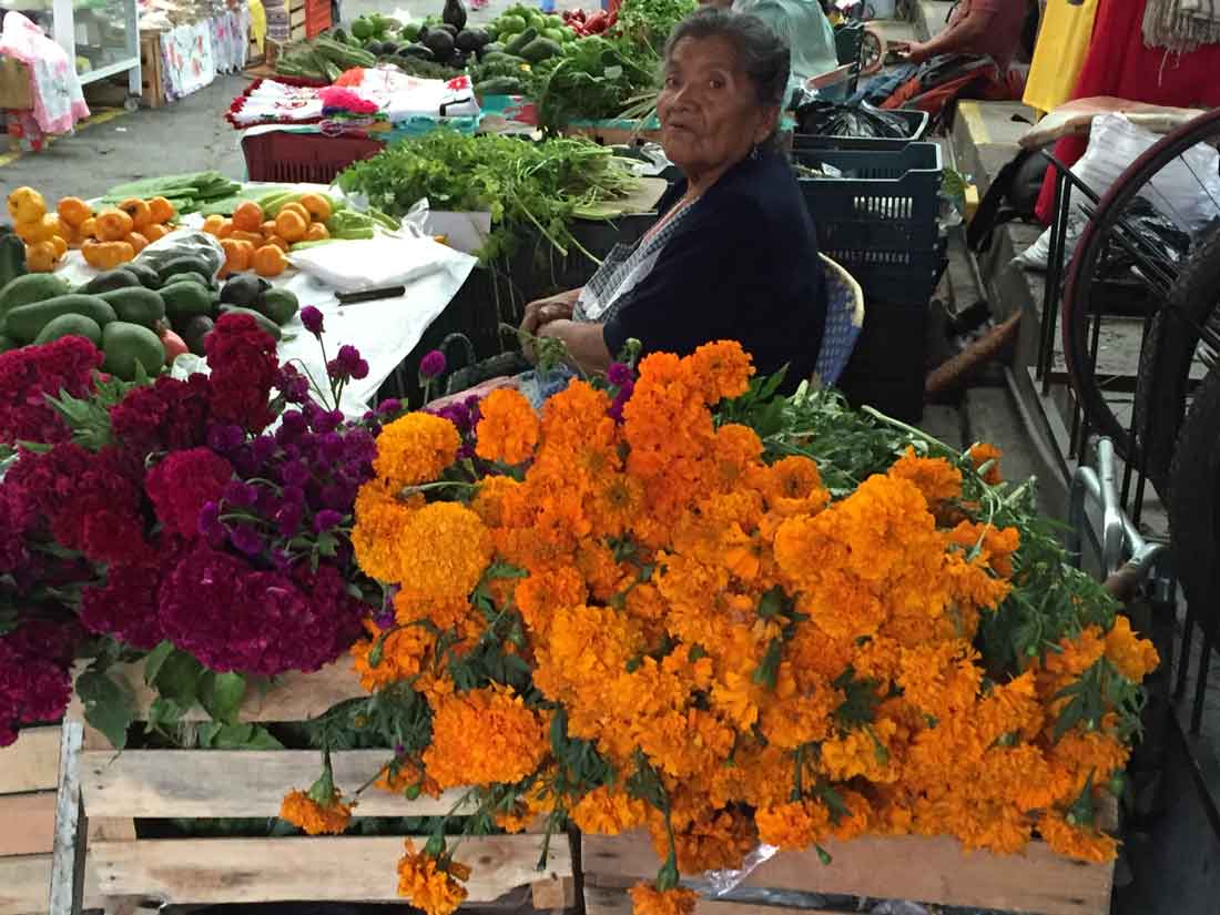 Woman-&-flowersIMG_4999.jpg