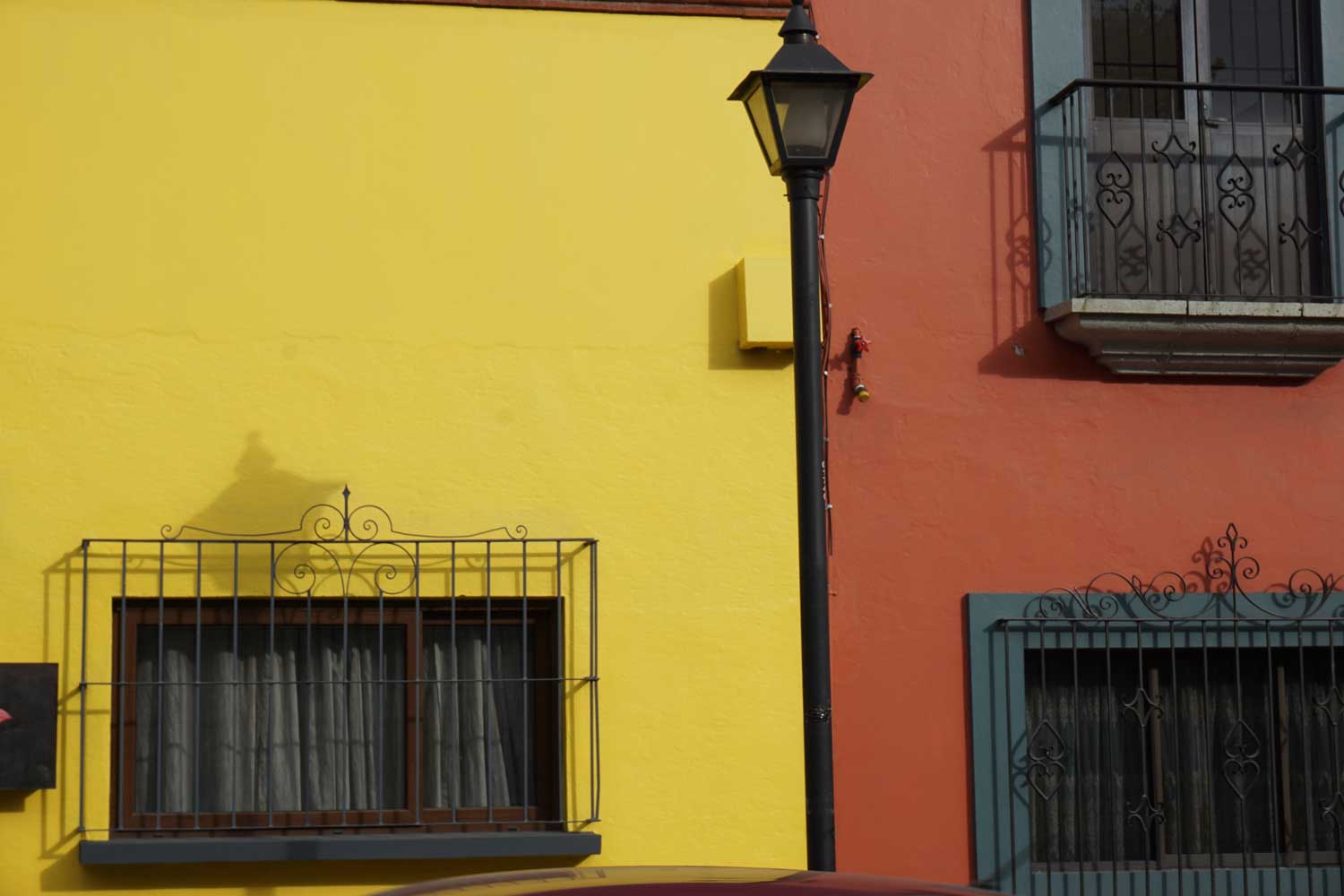 Yellow_redDSC00897.jpg