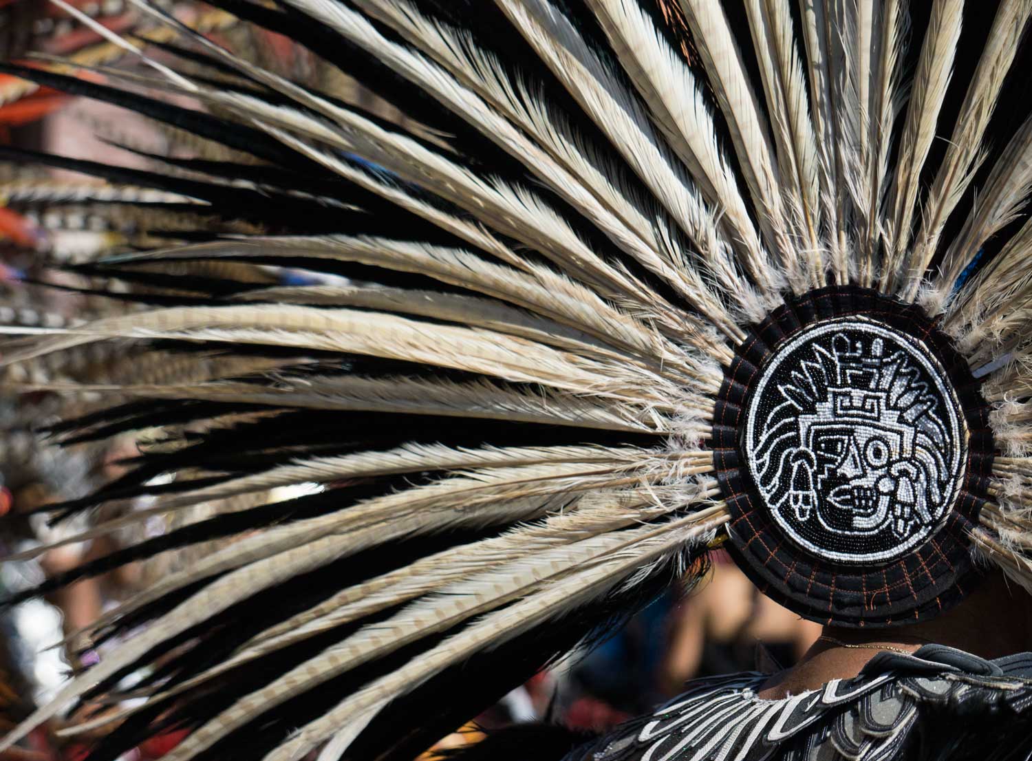B-&-W-feathersDSC01309.jpg