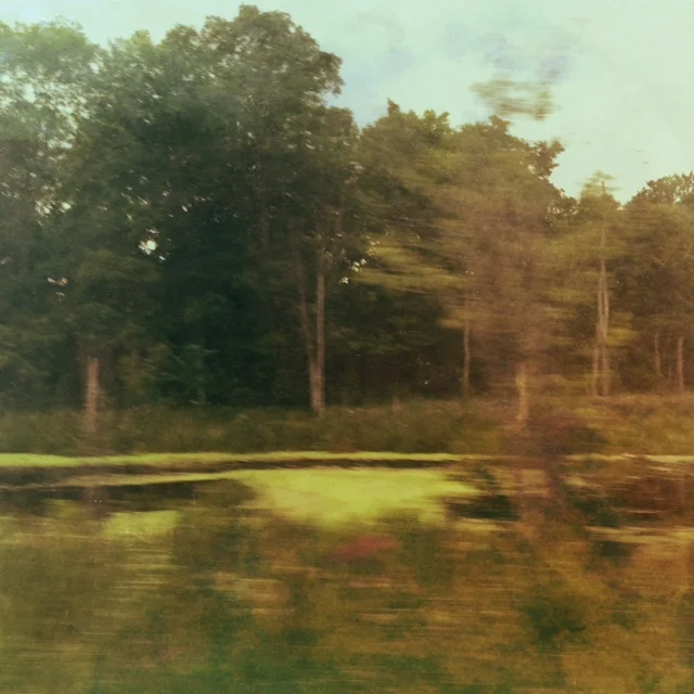 Fleeting Aurumn Scene  through a window