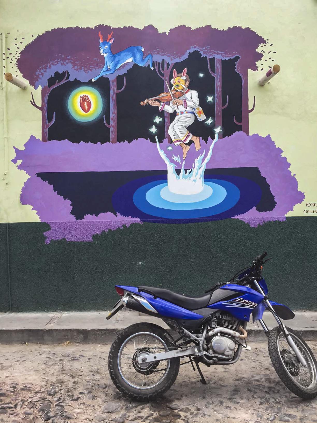  Artists: Collectivo Axolotlm