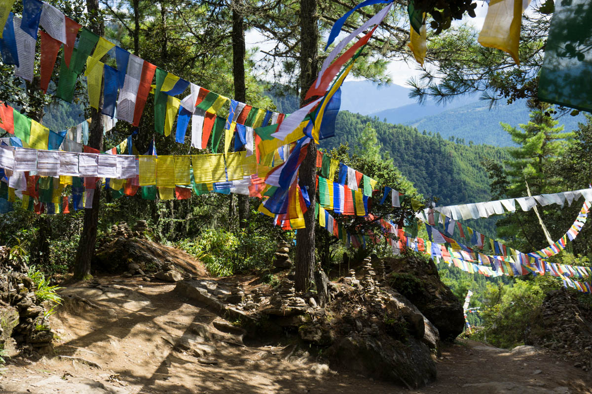 Prayer flags on hike to tigers nest