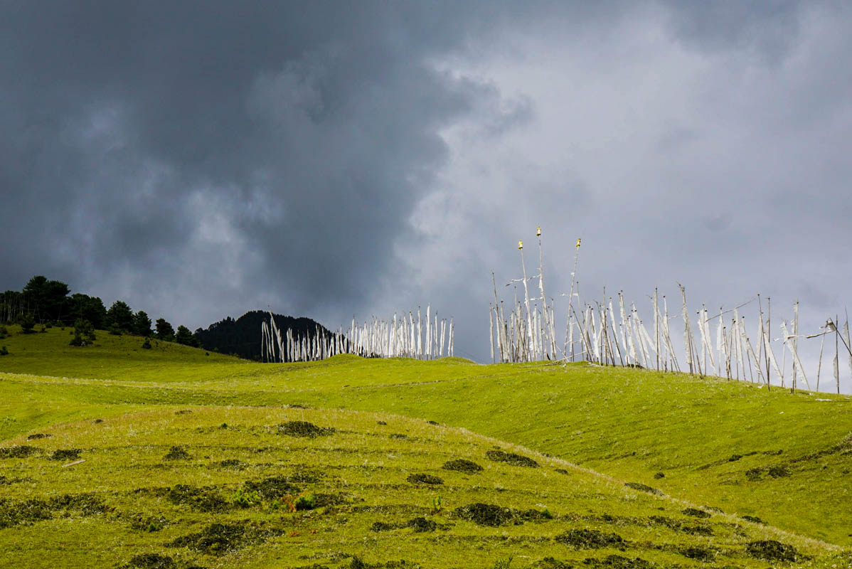 _Prayer flags field1DSC6735 copy.jpg
