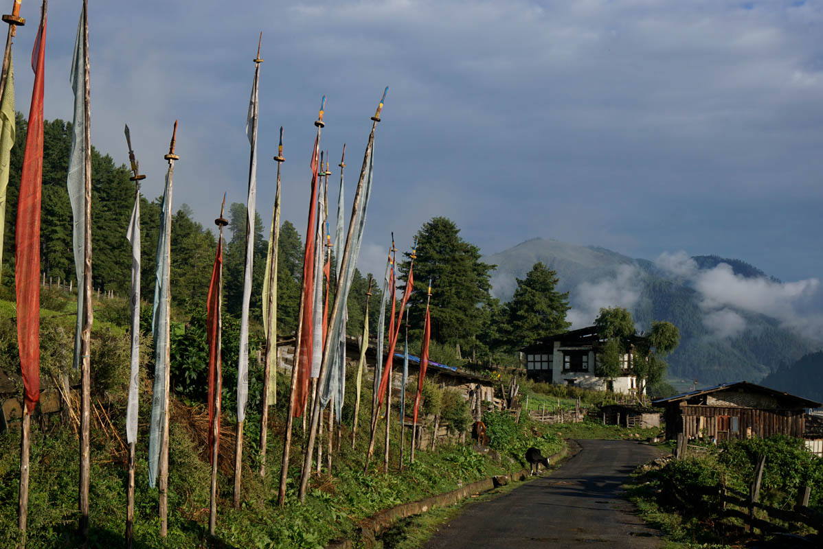 _DSC6508_1.jpg