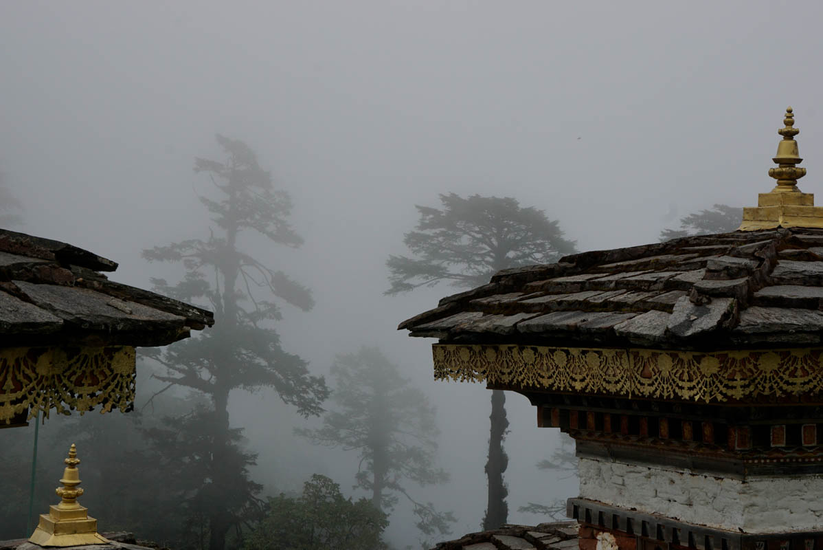 _DSC6282 copy.jpg