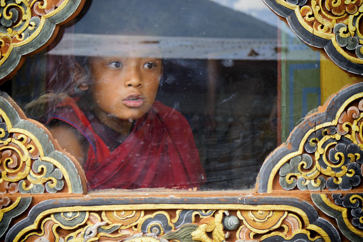 Boy in window 2 DSC6399 .jpg