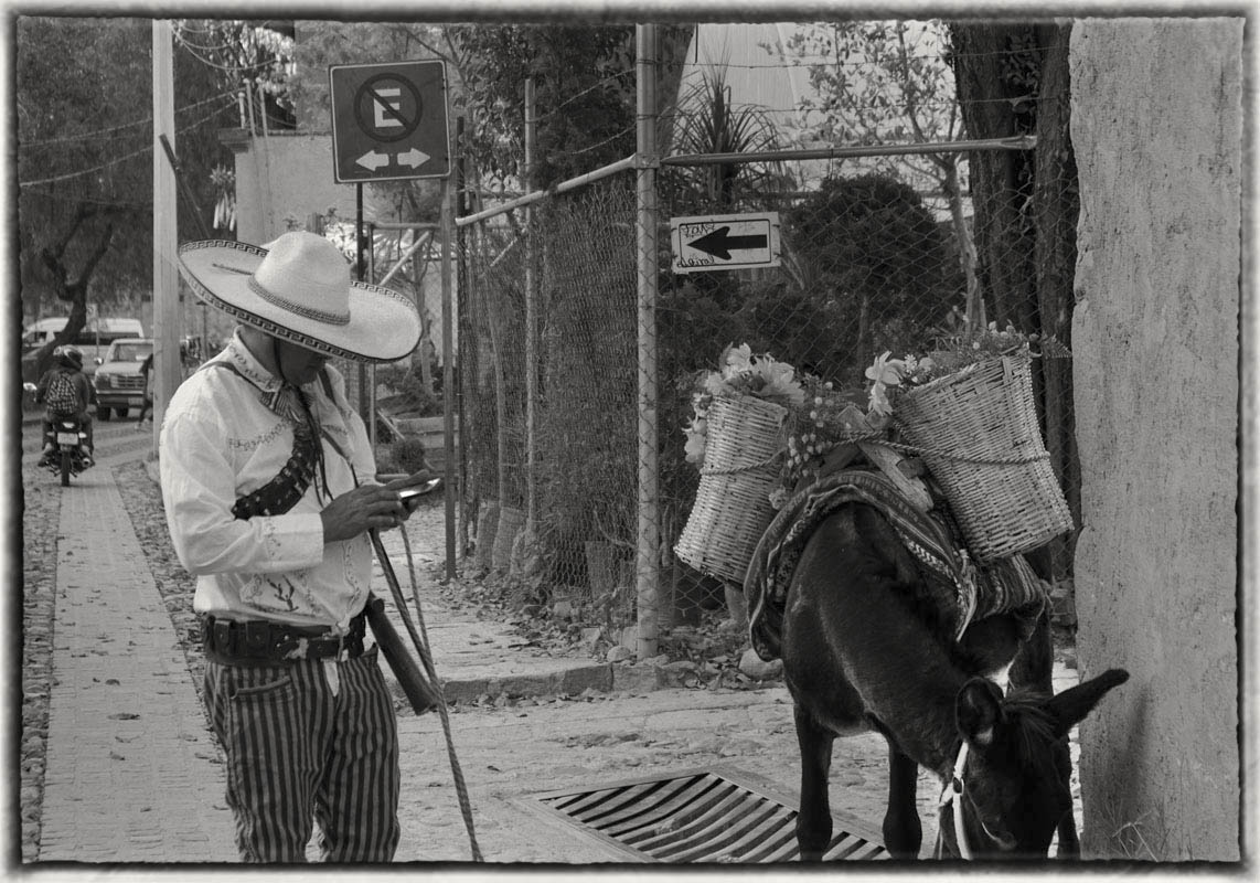 Donkey and guy cell DSC07837 copy.jpg