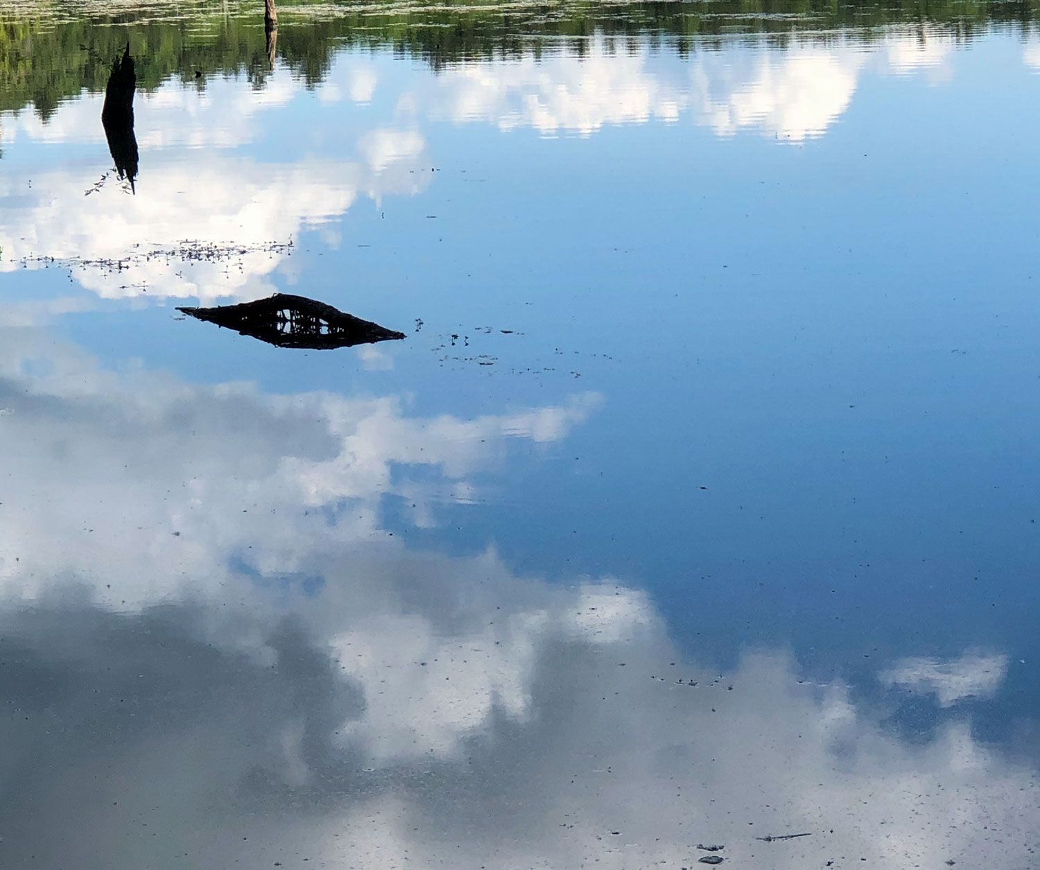 Long-Pond-blog-IMG_3085.jpg