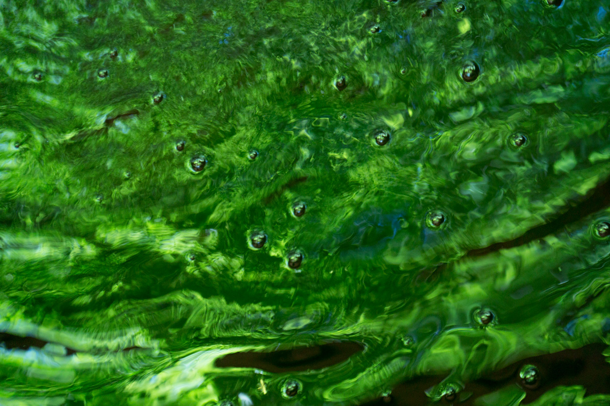 Green water DSC5495.jpg