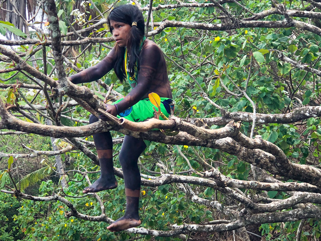 Girl on tree IMG_4537.jpg
