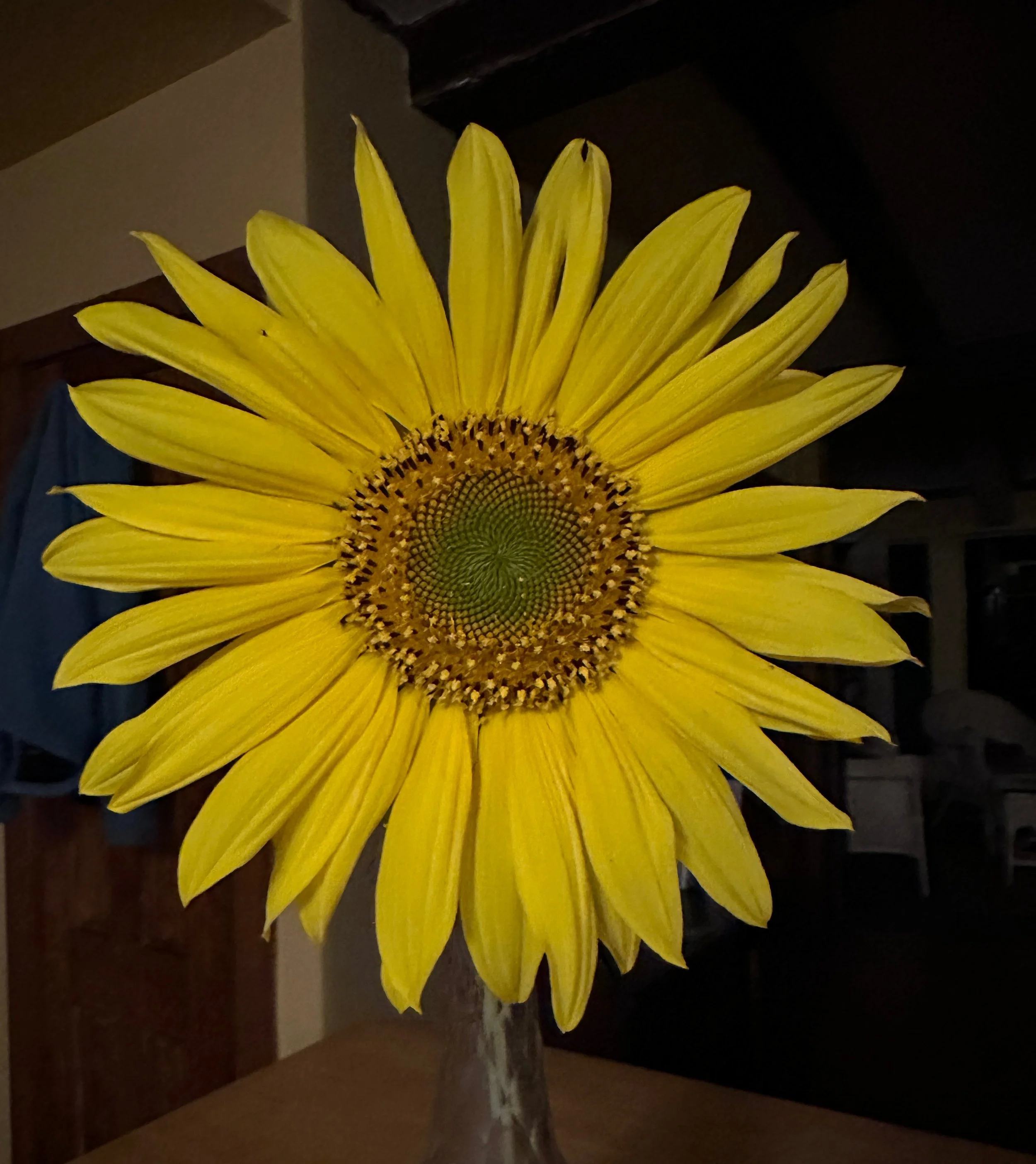 JPEG image-4B95-829D-7E-0.jpeg