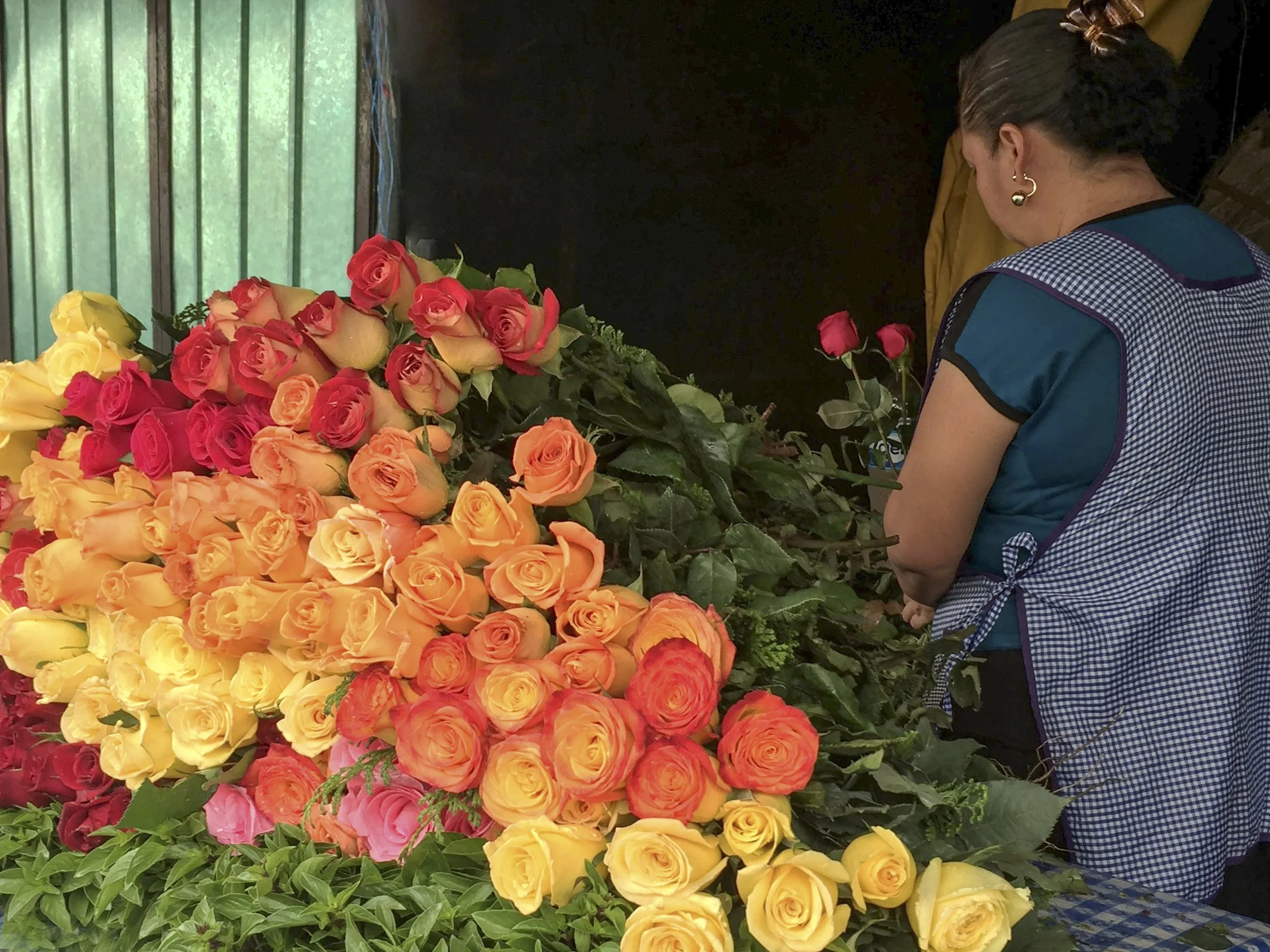 Arranging Roses IMG_5981 copy copy copy.jpg