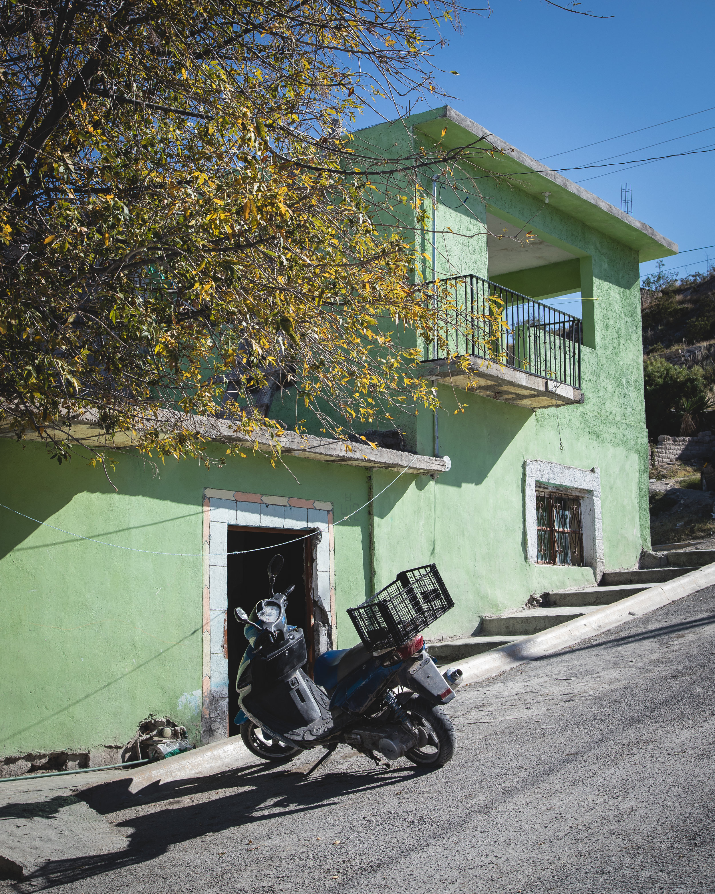 Seen in Parras de la Fuente. 