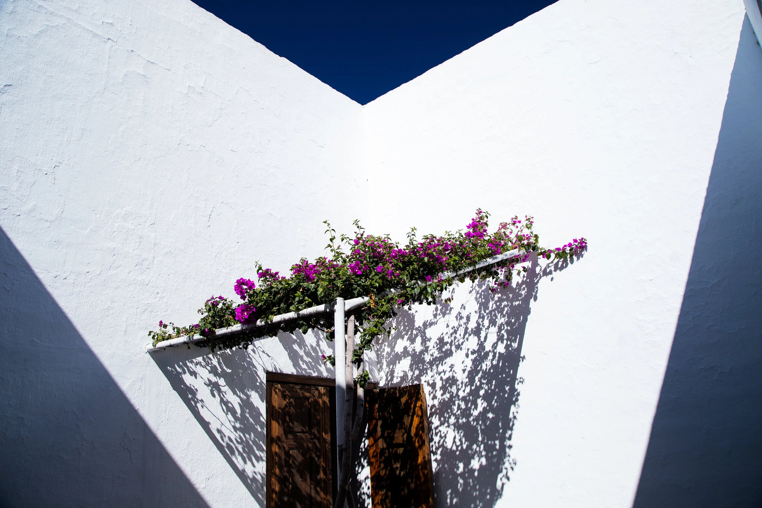 Seen in Parras de la Fuente. 