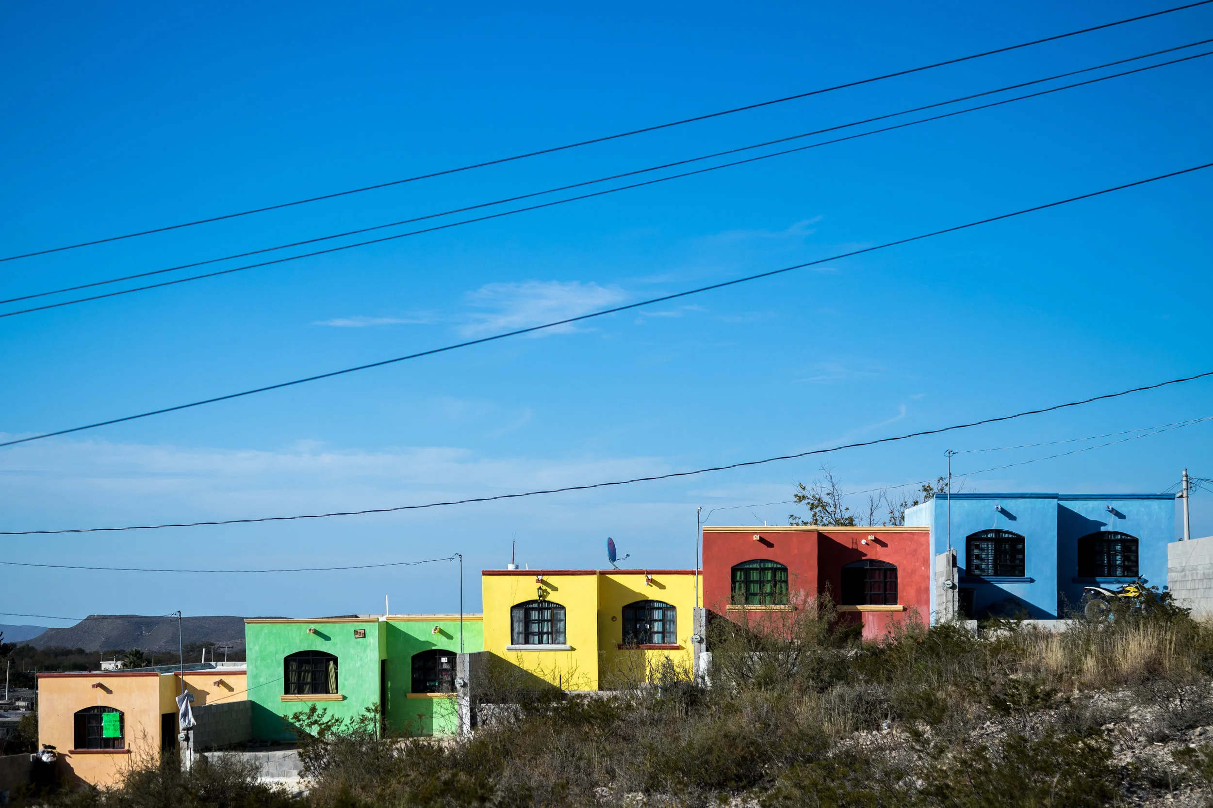 Seen in Parras de la Fuente. 